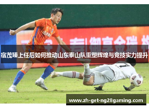 宿茂臻上任后如何推动山东泰山队重塑辉煌与竞技实力提升