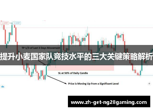 提升小麦国家队竞技水平的三大关键策略解析