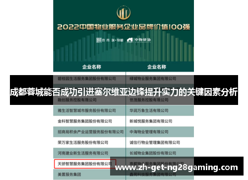 成都蓉城能否成功引进塞尔维亚边锋提升实力的关键因素分析