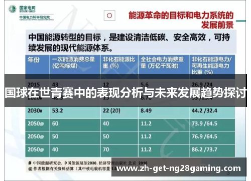 国球在世青赛中的表现分析与未来发展趋势探讨