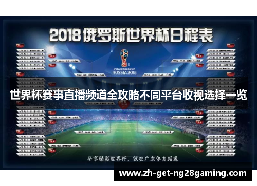 世界杯赛事直播频道全攻略不同平台收视选择一览