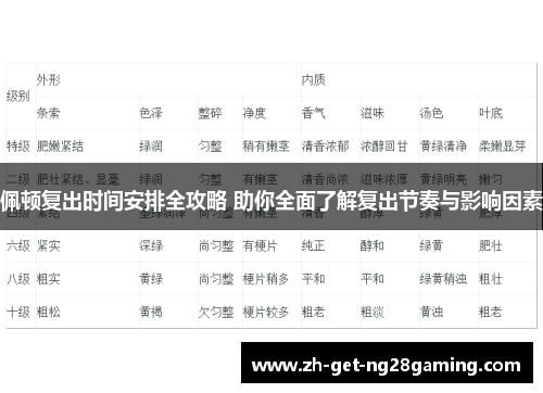 佩顿复出时间安排全攻略 助你全面了解复出节奏与影响因素