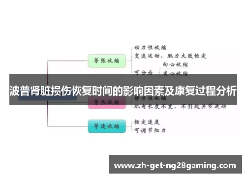 波普肾脏损伤恢复时间的影响因素及康复过程分析