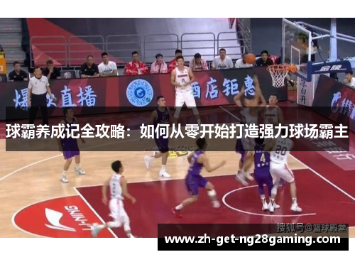 球霸养成记全攻略：如何从零开始打造强力球场霸主