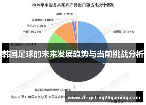 韩国足球的未来发展趋势与当前挑战分析