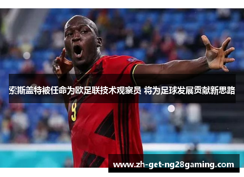 索斯盖特被任命为欧足联技术观察员 将为足球发展贡献新思路