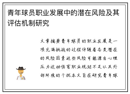 青年球员职业发展中的潜在风险及其评估机制研究