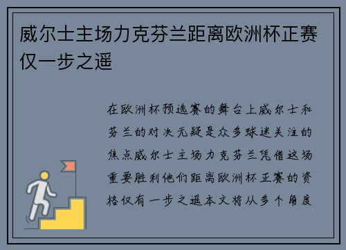 威尔士主场力克芬兰距离欧洲杯正赛仅一步之遥